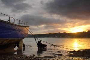 Villa du Goueltoc - Entre 2 horizons